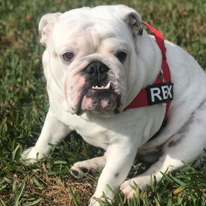 Meet your Posher, Marci